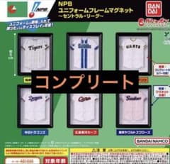 NPB ユニフォームフレームマグネット～セントラル・リーグ 