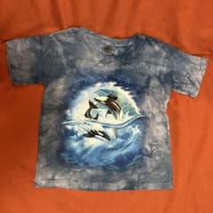 The Mountain シャチ柄 Tシャツ キッズ Sサイズのサムネイル