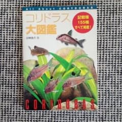 コリドラス大図鑑 小林圭介著