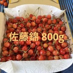 佐藤錦 訳あり 800g 家庭用 加工用 お試し 初モノのサムネイル