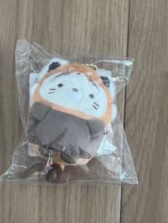 스미코구라시 동물원 고양이 레서 팬더