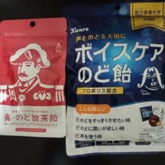 森下仁丹 鼻・のど甜茶飴 ＆ Kanro ボイスケアのど飴　2点セットのサムネイル