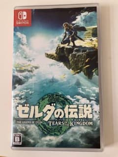 젤다의 전설 TEARS OF THE KINGDOM