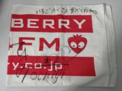 元AKB48 本田仁美 直筆サイン入り タオル