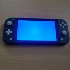Nintendo Switch Lite 本体 ブラック ジャンク - メルカリ