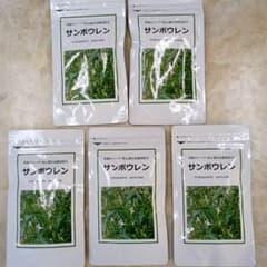 サンポウレン　三宝　バラ売り可のサムネイル