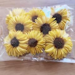 ソーラーひまわりのサムネイル