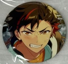 あんスタ あんさんぶるスターズ！！ 南雲鉄虎 コレクション 缶バッジ