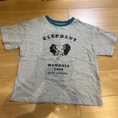 antiqua toy ELEPHANT プリントTシャツ 160のサムネイル