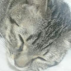 なほさま専用です♡のサムネイル