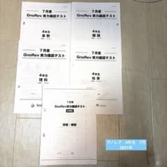 ㉔ひ　希少未使用　グノーブル　5年生　7月度グノレブ実力確認テスト グノーブル GnoRev 実力確認テスト 6年生5月度 - メルカリ