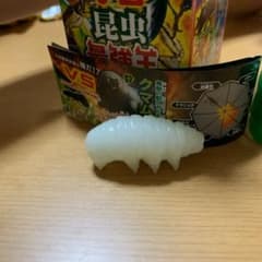 昆虫最強王図鑑　チョコエッグキッズのサムネイル