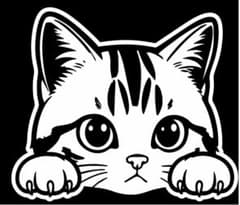 猫 ステッカー 2枚セット 車 バイク 装飾　猫　子猫　ステッカー　デカールのサムネイル