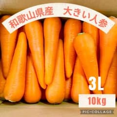 【3L】採れたて人参　大きめ　10kgのサムネイル