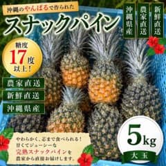 スナックパイン　大玉　5kg（糖度17度以上） スナックパイン 大玉 5kg（糖度17度以上） - メルカリ