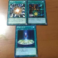 ひろ様専用！！のサムネイル