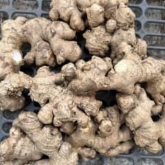 愛知県産　無農薬生姜　300gのサムネイル