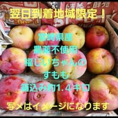 ❌翌日到着地域限定！宮崎県産　無農薬　福じいちゃんの　すもも　箱込み1.4キロのサムネイル
