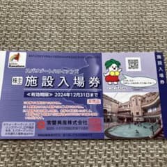 早い者勝ち！スパリゾートハワイアンズ施設入場券 3枚他のサムネイル