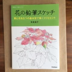花の鉛筆スケッチ : 葉と花を5つの基本型で描くコツとヒントのサムネイル