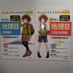 地理B 地誌編・系統地理編 2冊セットのサムネイル