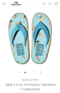 ISLAND SLIPPER  新品未使用のサムネイル