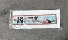 JALフライトタグ　ノベルティ　旅行用品　ASJ　飛行機　日本航空のサムネイル