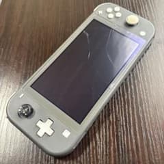 Nintendo Switch Lite グレー ジャンク品 本体のみ - メルカリ