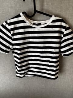 ボーダー柄 半袖Tシャツ 白黒　Zaraのサムネイル