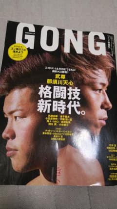 格闘技雑誌　ゴング　No.301のサムネイル