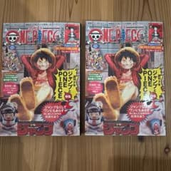 ワンピース・マガジン20号 2冊付録完備 プロモ ルフィ カード セット