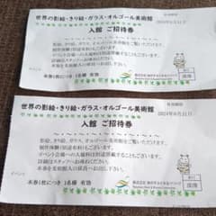 池の平　蓼科白樺ファミリーランド美術館入館　ご招待券２枚のサムネイル