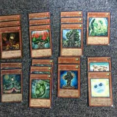 遊戯王 森羅デッキのサムネイル