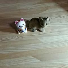 猫の置物のサムネイル