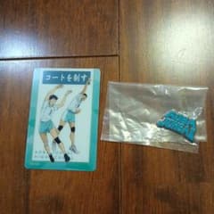하이큐 트레이딩 카드 & 핀 배치 세트
