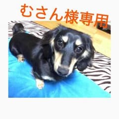 むさん様専用のサムネイル
