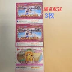 東京サマーランド 春秋限定 株主優待 招待券 1Dayパス 3枚セットのサムネイル