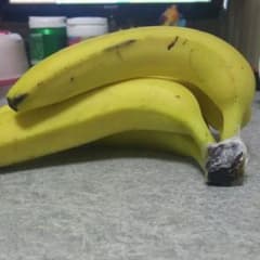 (プチトマト様専用)のサムネイル