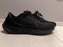 Nike Pegasus40 / ナイキ　ペガサス40のサムネイル