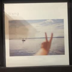 王舟　wang レコードのサムネイル