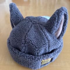 ディズニーシー　ピーターパン　ロストキッズ　ファンキャップのサムネイル