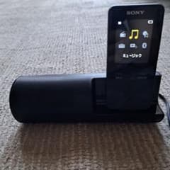 SONY NW-S313 デジタルオーディオプレーヤーのサムネイル