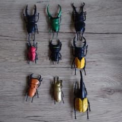 昆虫フィギュア 8種セット クワガタ カブトムシのサムネイル