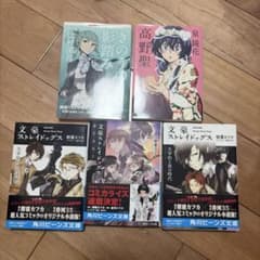 文豪ストレイドッグス 小説 まとめ売りのサムネイル