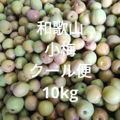 和歌山 小梅 クール便 10kg - メルカリ