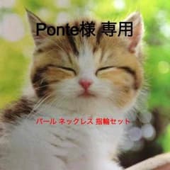 Ponte様 専用 お取り置きのサムネイル