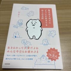 毎日ほどほどにどうにか生きてるねこの日記　ひらこのサムネイル