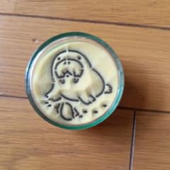 豊橋のんほいパーク　砂絵　サンドメイクアート　カメ&セイウチ