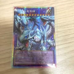 ⭐️究極竜魔導師 オーバーフレームプリシク⭐️ - メルカリ