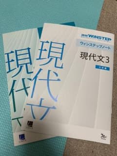 WINSTEP 現代文のサムネイル